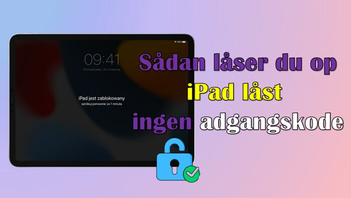 Sådan låser du låst iPad op uden adgangskode