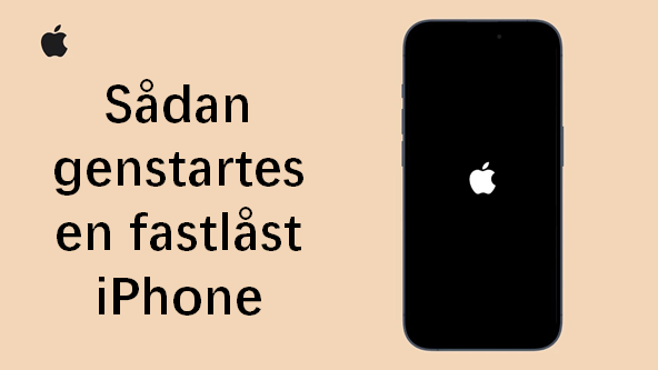 Genstart låst iPhone