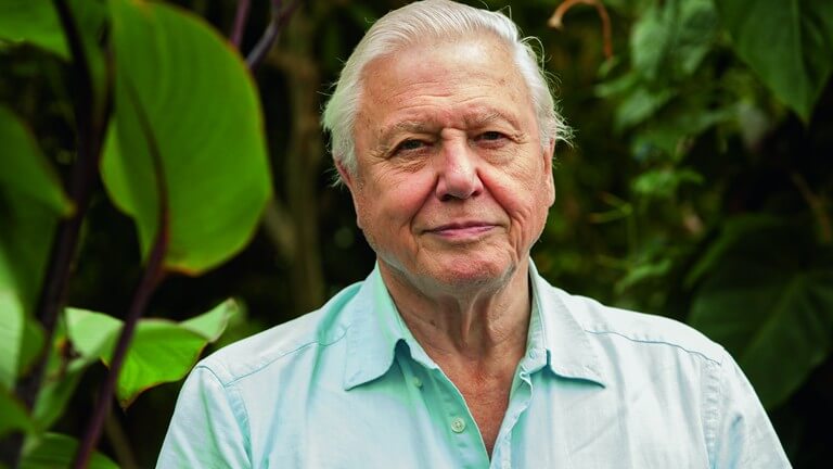 Anvendelser af David Attenborough TTS Voice AI