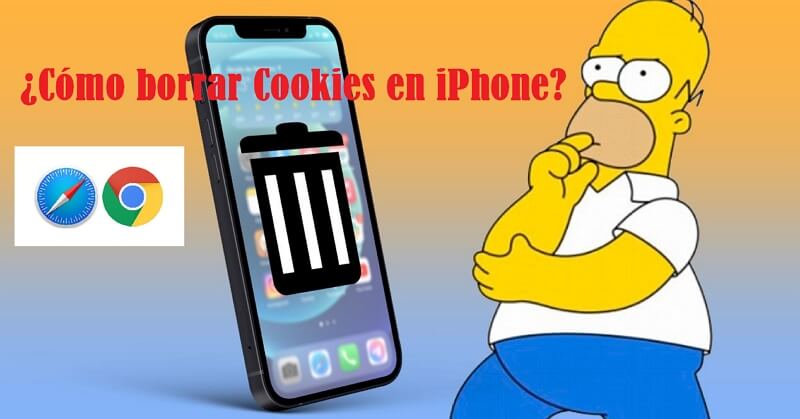 borrar Cookies en iPhone