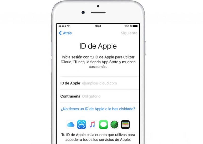poner ID de Apple para resgistrar Apple Developer