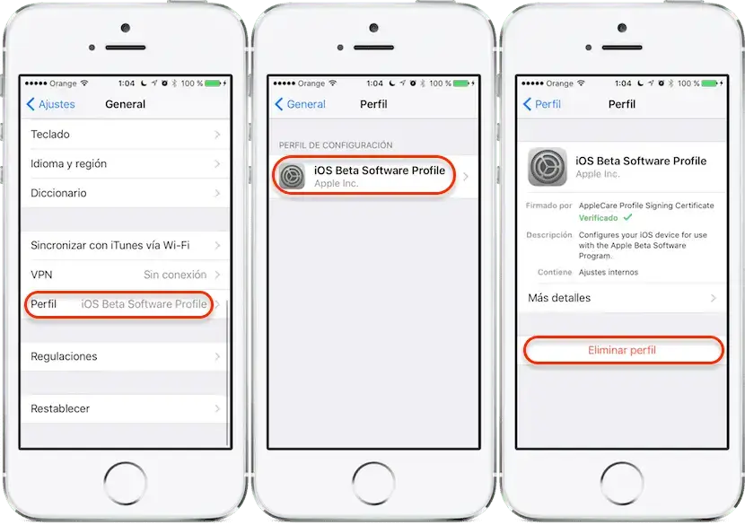 eliminar perfil de beta en iPhone