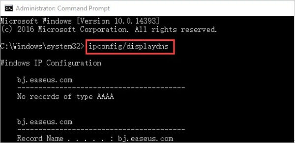 introducir comando ipconfig/displaydns