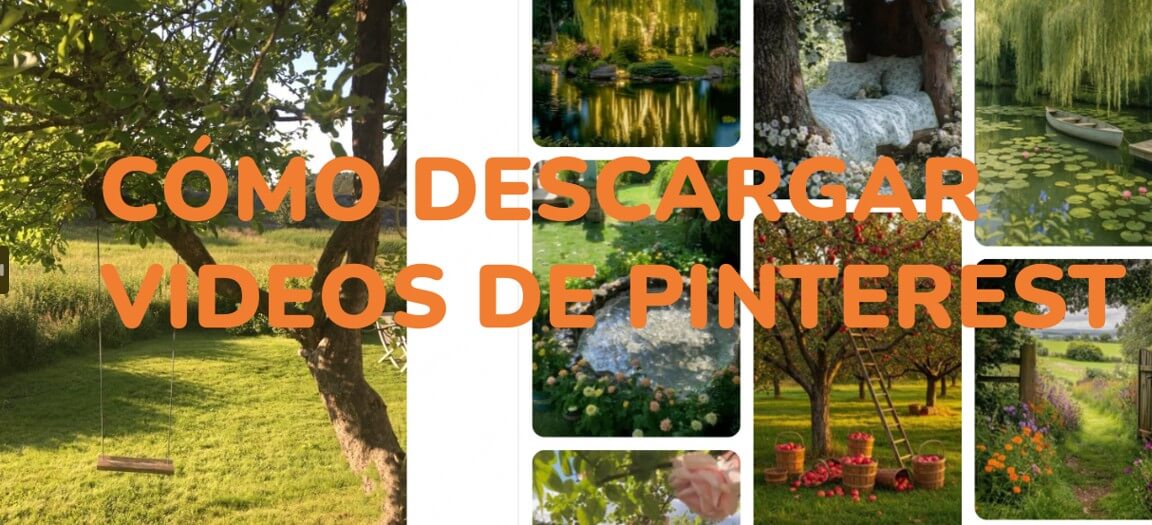 descargar videos de Pinterest
