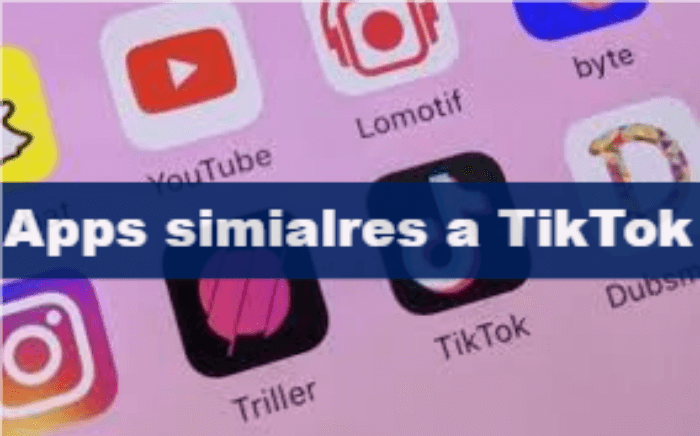 buscar las aplicaciones similares a TikTok
