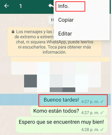 Información de mensajes de WhatsApp