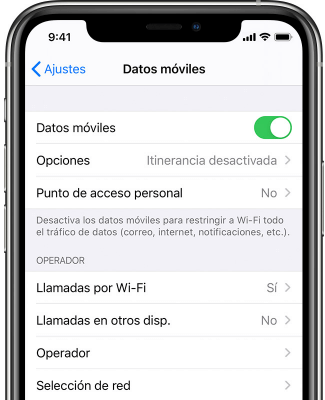 activar los datos de iPhone
