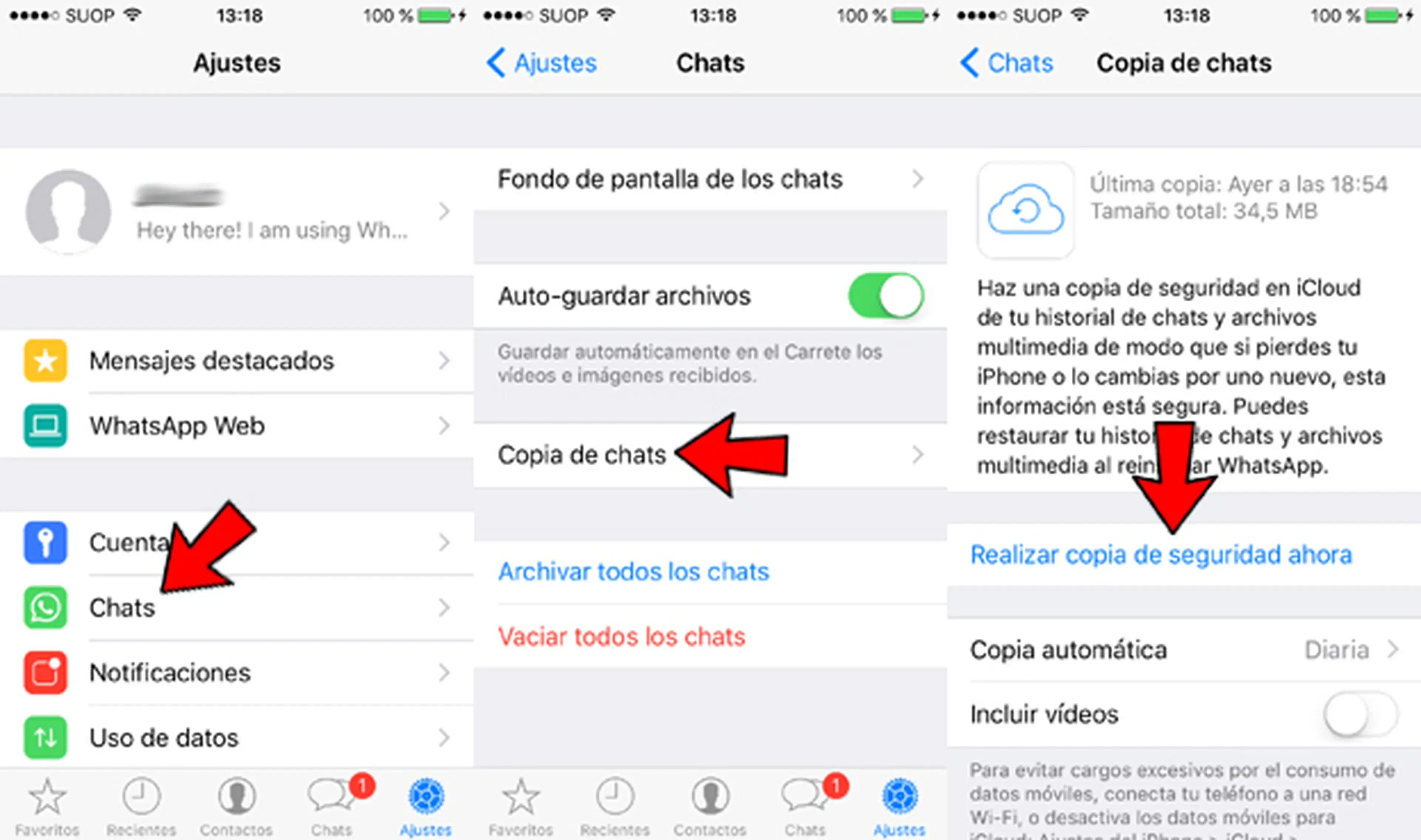 Hacer copia de seguridad de WhatsApp Business con iCloud