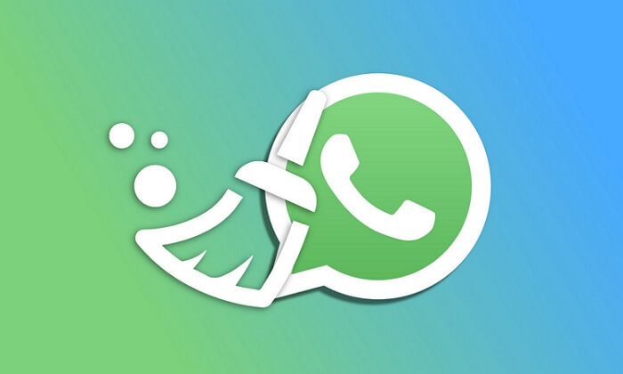 Cómo borrar copia de seguridad de WhatsApp