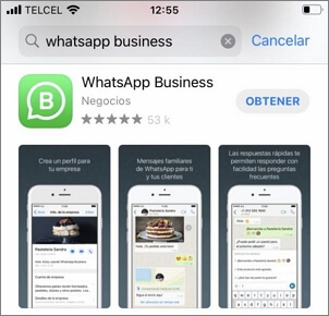 descarga WhatsApp Business en iPhone