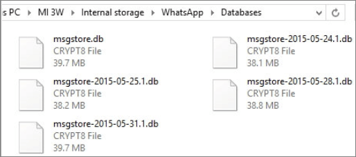 elrgir archivo msgstore.decrypted.db en WhatsApp Viewer
