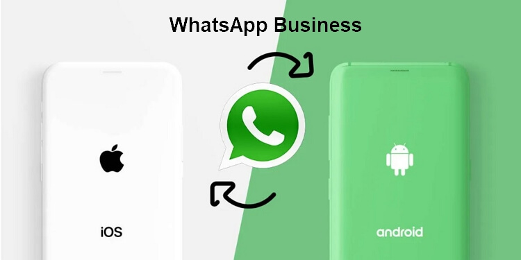 Pasar WhatsApp Business de iOS a Android