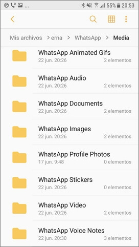 recuperar audios eliminados de WhatsApp en respaldo local
