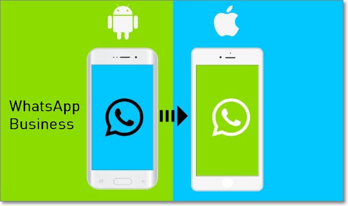 transferir WhatsApp Business de Android to iPhone