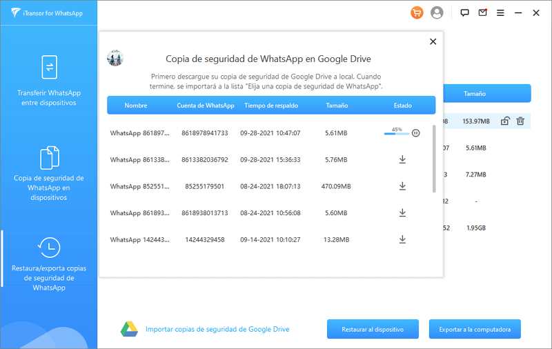 elegir una copia de segurida de WhatsApp en Google drive para descargar