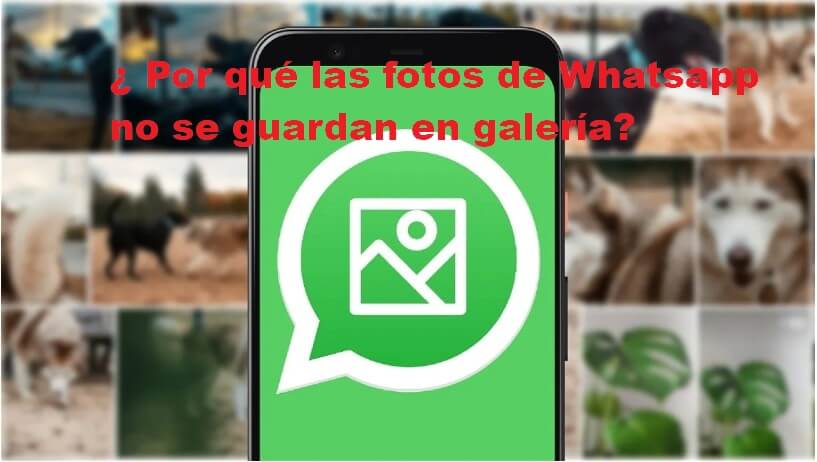 Por qué las fotos de Whatsapp no se guardan en galería