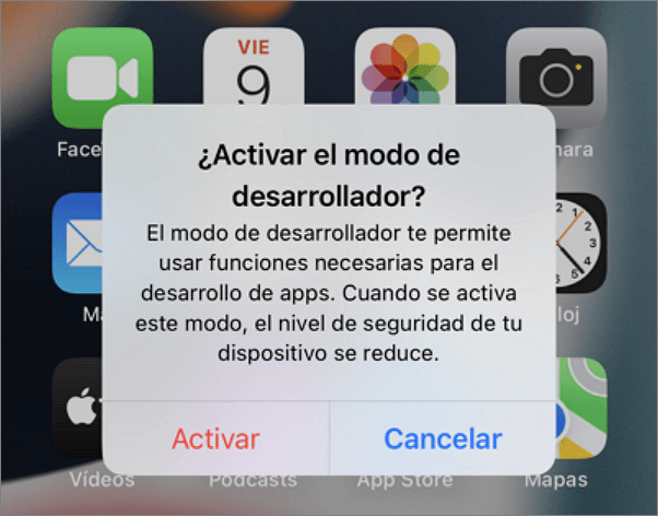activar opciones de desarrollador en iOS 16