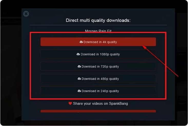 Elige la calidad en la que deseas descargar el video en Spankbang