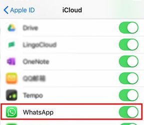 activar la copia de seguridad de WhatsApp en iCloud