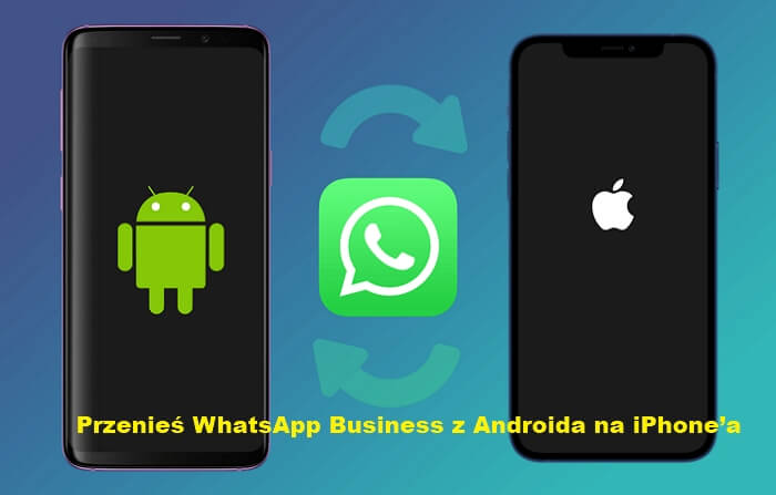 2 Proste sposoby - Przenieś WhatsApp Business z Android na iPhone'a