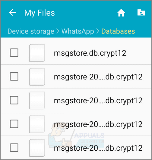 znajdź msgstore.db.crypt12