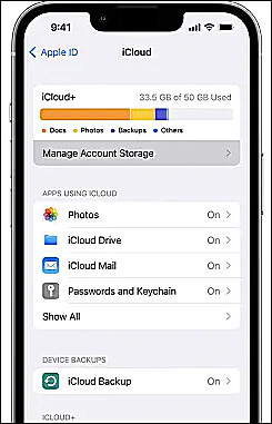 Ustawienia Apple ID iCloud Storage Zarządzaj pamięcią masową