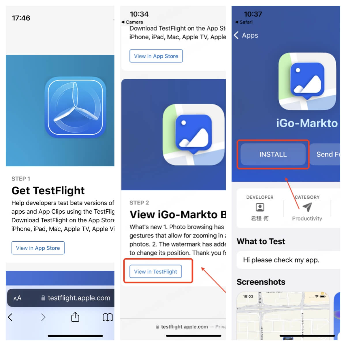 get igo in testflight