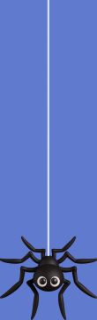 banner_zz