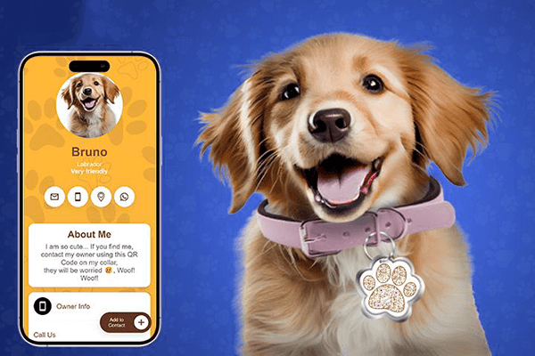 scan qr code to pet info