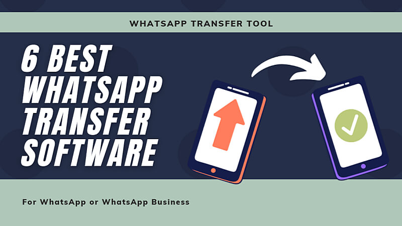 Top 6 WhatsApp Transfer Tools