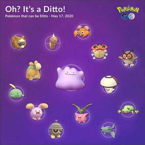come trovare ditto pokemon go