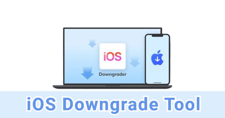 downgrade ios software