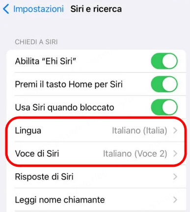 Controllare la lingua siri