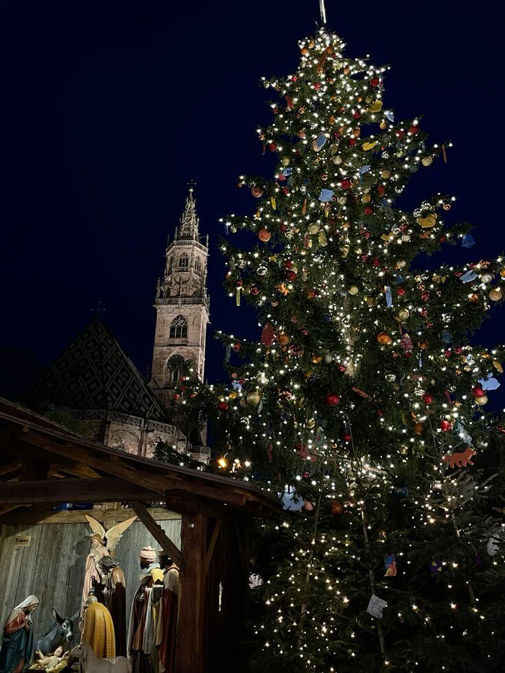 Albero di Natale di notte