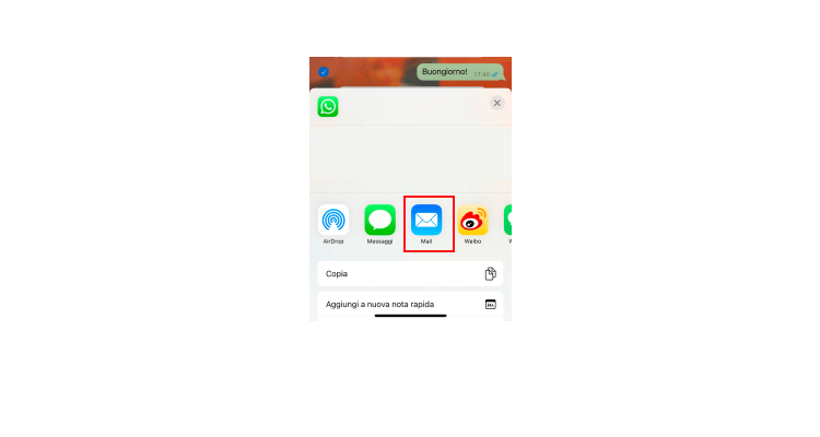 Invia tramite e-mail il backup di WhatsApp iOS al computer