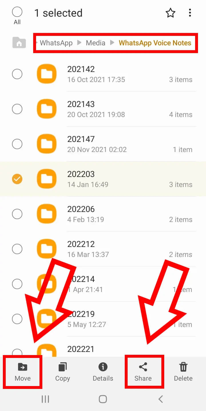 Archiviazione Android Registrazione WhatsApp