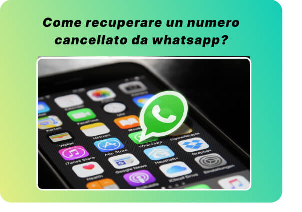 come recuperare un numero cancellato da WhatsApp