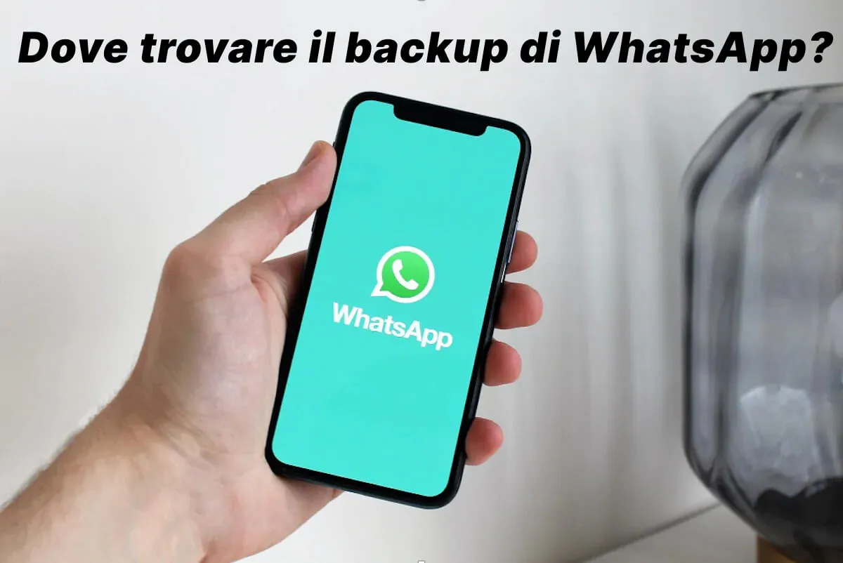 Dove Trovare e Vedere il Backup di WhatsApp [iCloud e Google Drive]