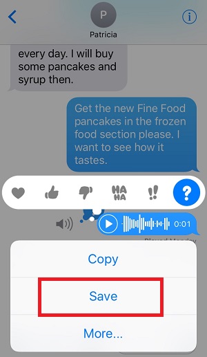 Save the Audio Message on iphone