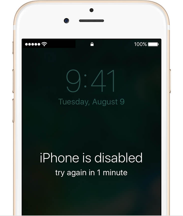iphone disabled