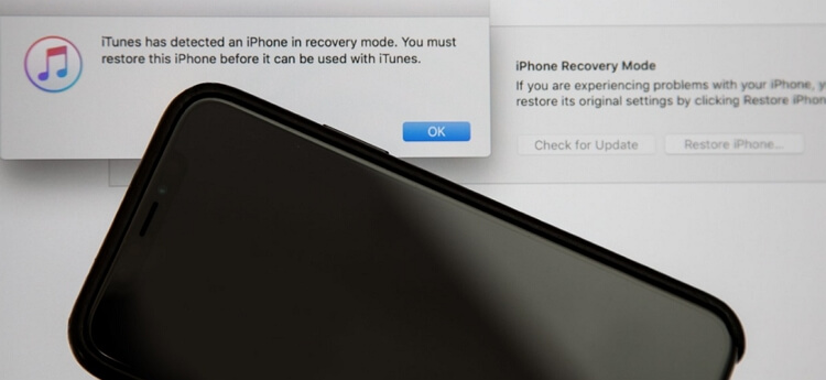 restore iPhone in dfu mode using iTunes