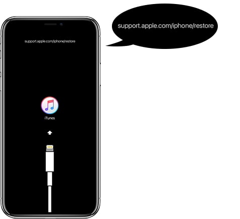 L’iPhone Mostra ‘support.apple.com /iphone /restore’? 5 Soluzioni Proposte