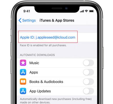 find apple id on itunes an app stores