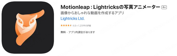 Motionleap　インタフェース