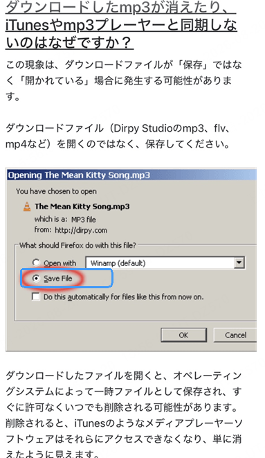 Dirpy 保存 開く 違い