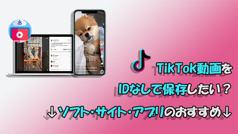 【最新】TikTok動画をIDなしで保存できるツール6選！ソフト・サイト・アプリ