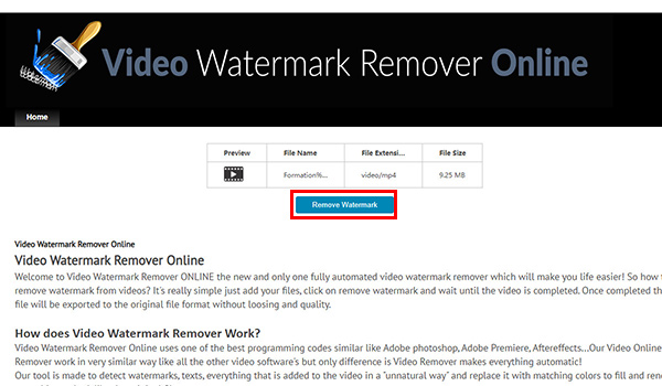 Video Watermark Removal Online　動画の透かしを消す