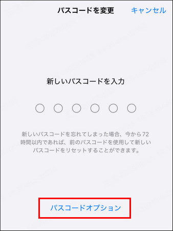 iPhone パスコードオプション
