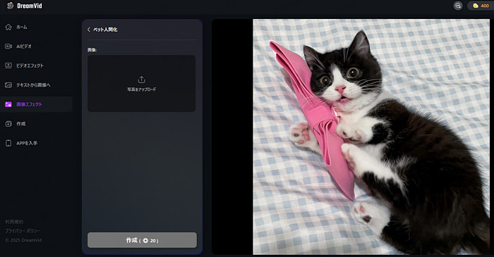 DreamVid　オンラインで動物を擬人化