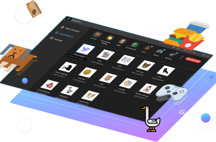 markgo_box
